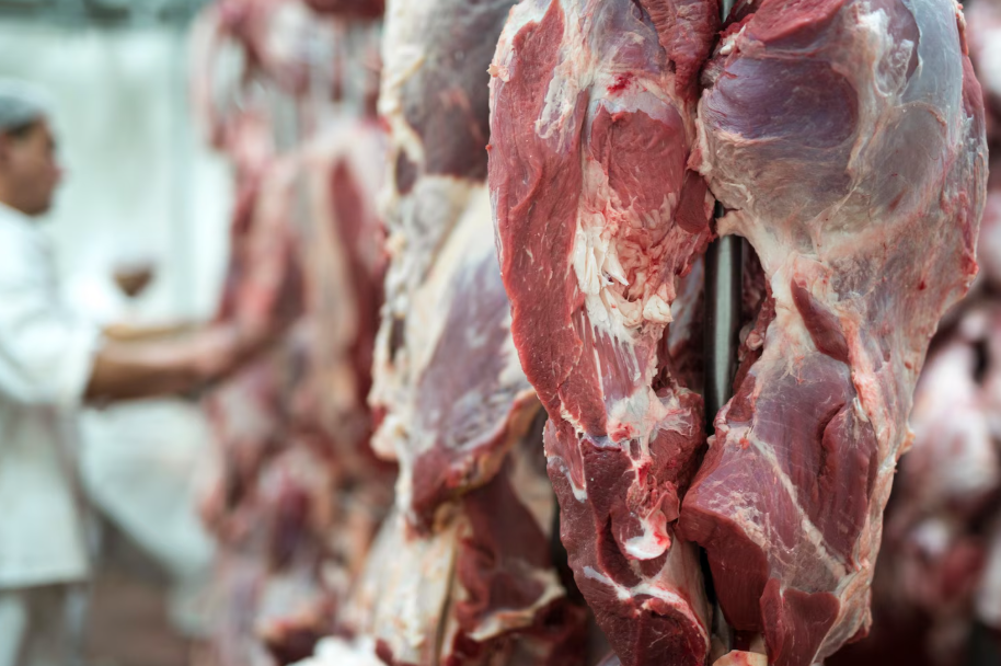Qué significa ser un mayorista de carne argentina